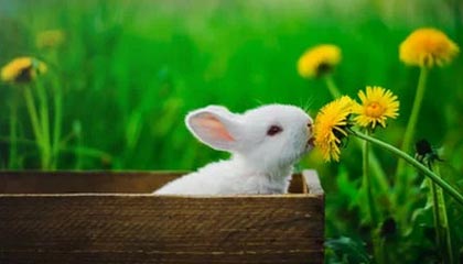 模特在以下活动最受欢迎